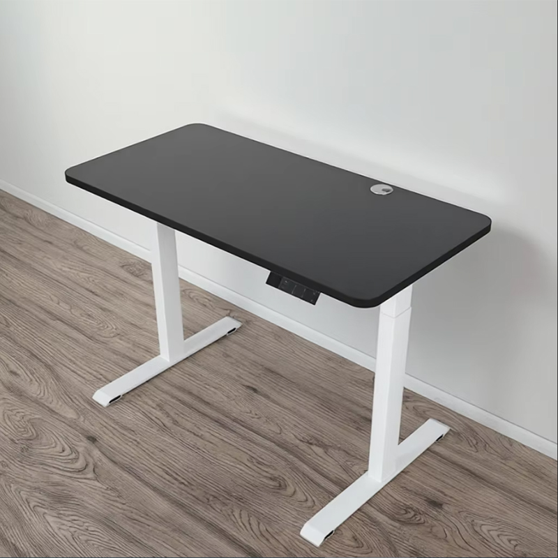 Dual Motor Electric Desk Height Adjustable Standing Table for Modern Office Desk