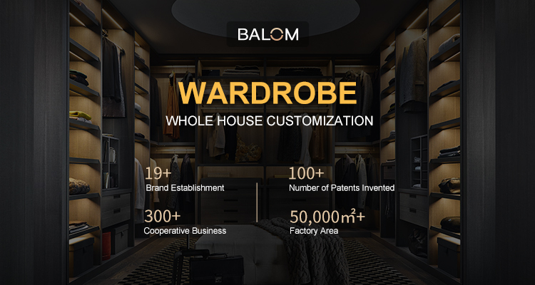 Customized Wardrobe Design Showcase