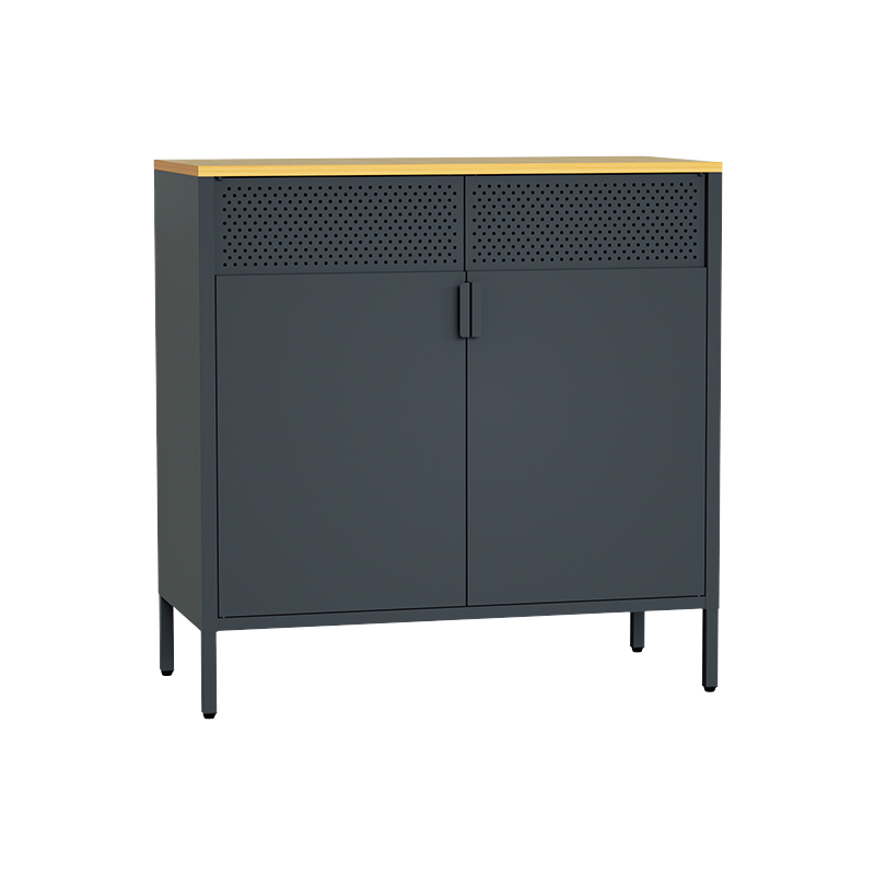 Nordic Modern 2-Door Steel MDF Sideboard Buffet Cabinet Large Capacity Apartment Home Furniture for Home Bar Dining Living Room