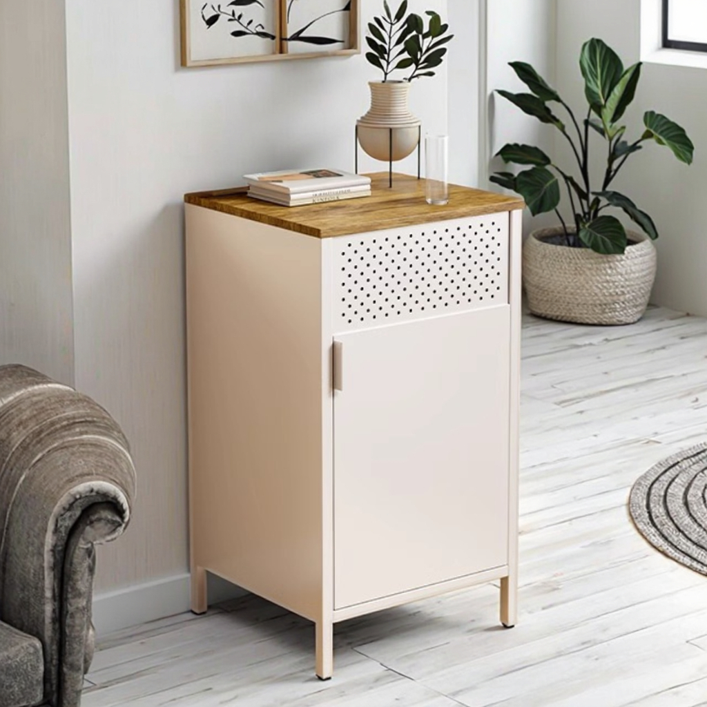 Modern 2-Door Steel Sideboard Buffet Cabinet Furniture Customized Color Side Table TV Stand Holder Living Room