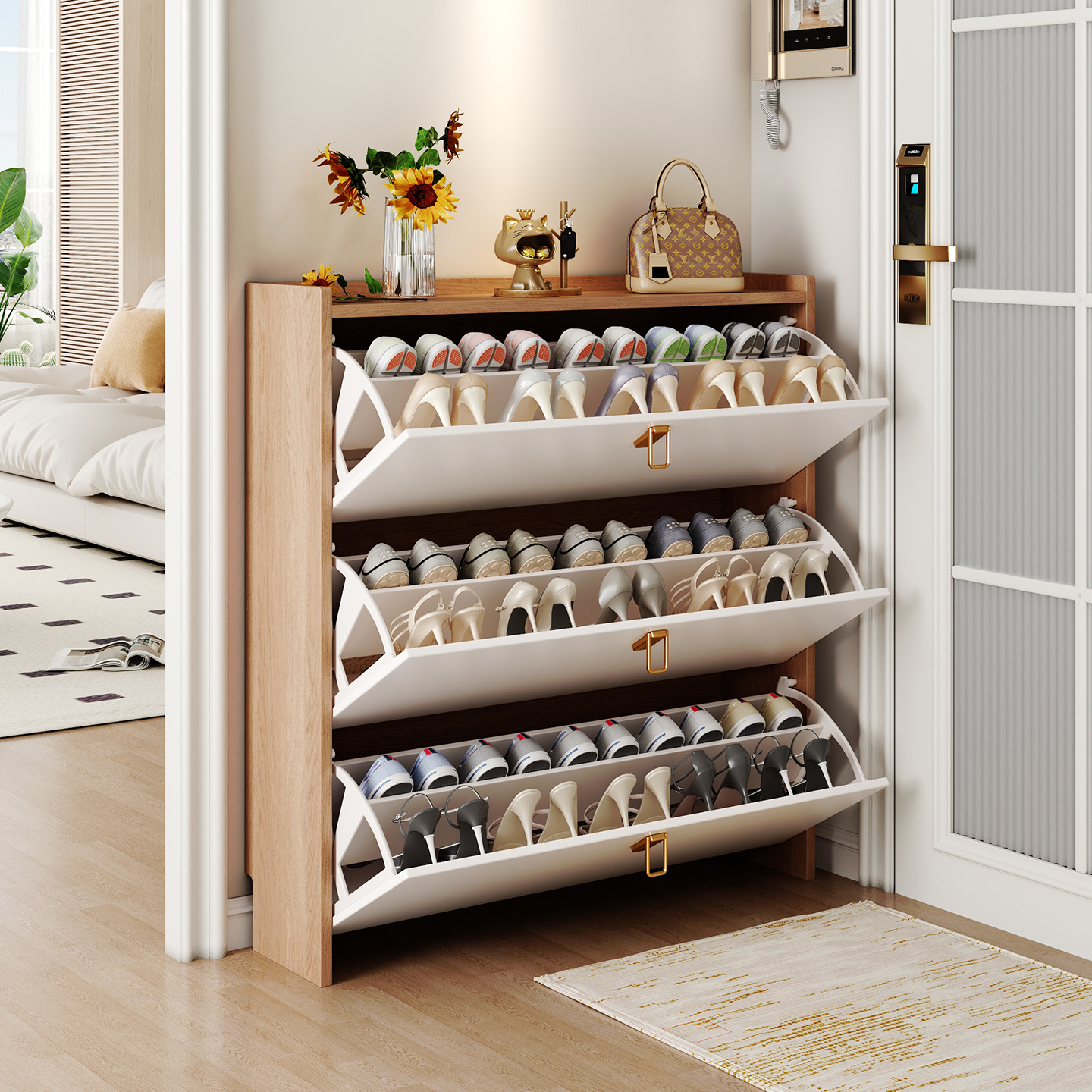 Dust-proof Shoe Cupboard for Modern Mudroom Entryway Shoe Organizer for Professional Household Management