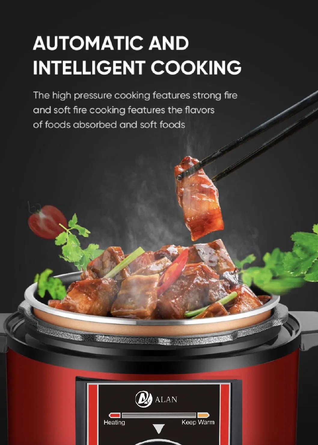 Pressure Cooker Details 2