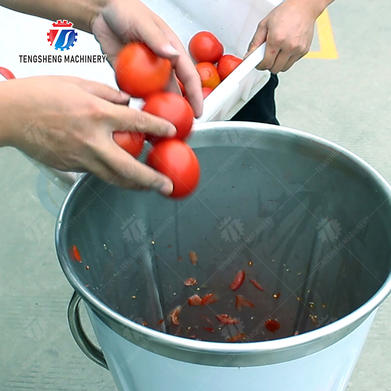 Industrial Lemon Orange Grape Juicer Machine Industrial Fruit Juice Extractor