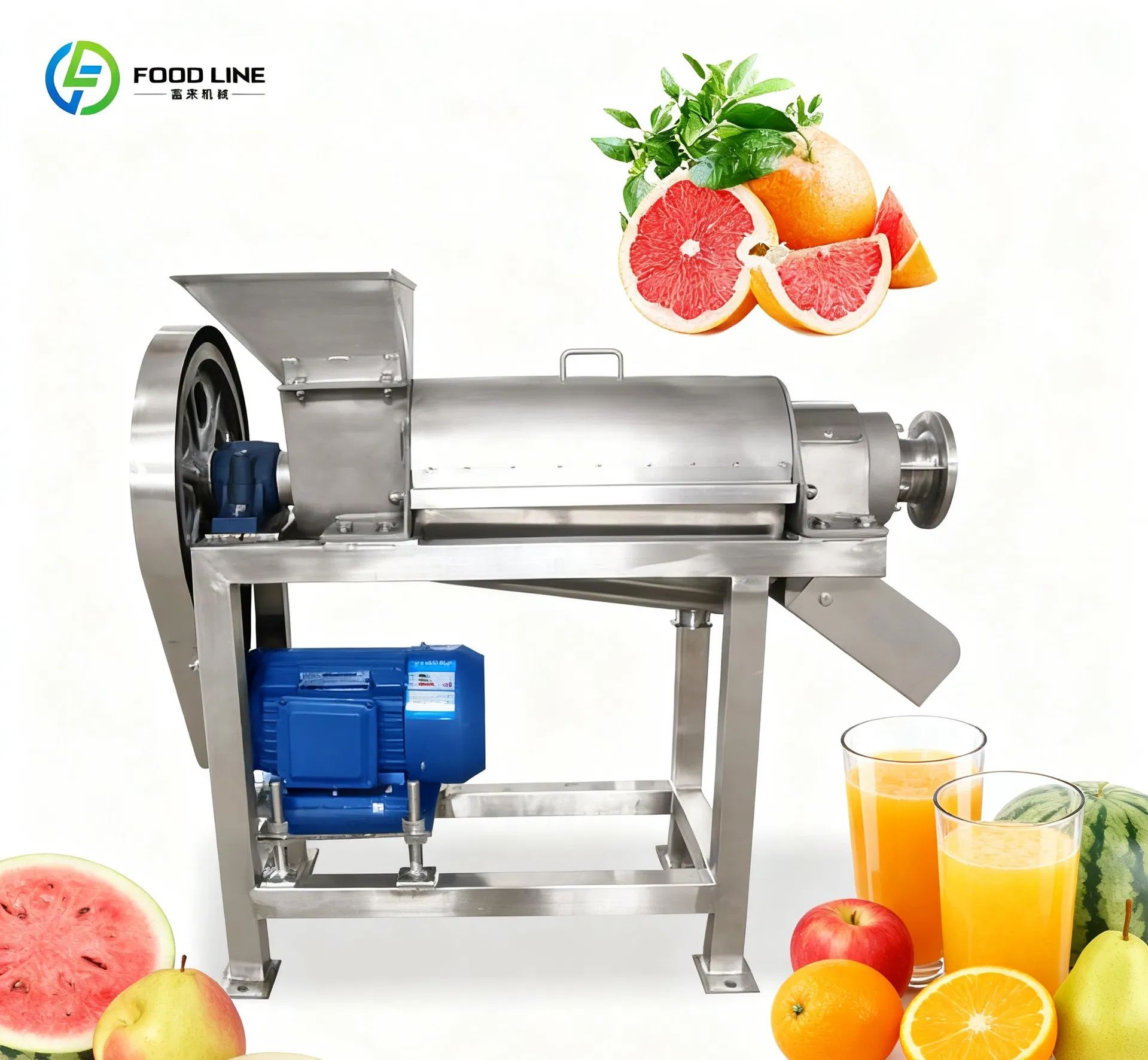Industrial Fruit Juicer