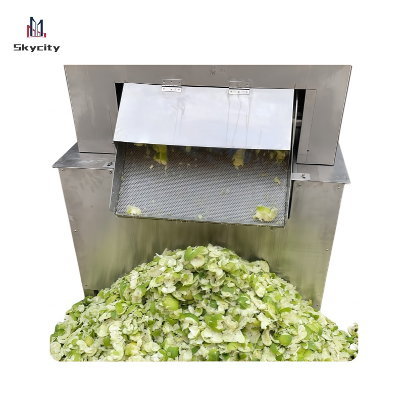 Tc-Dgj2.2 Industrial Commercial Electric Citrus Passion Fruit Vegetable Juice Extractor Juicer