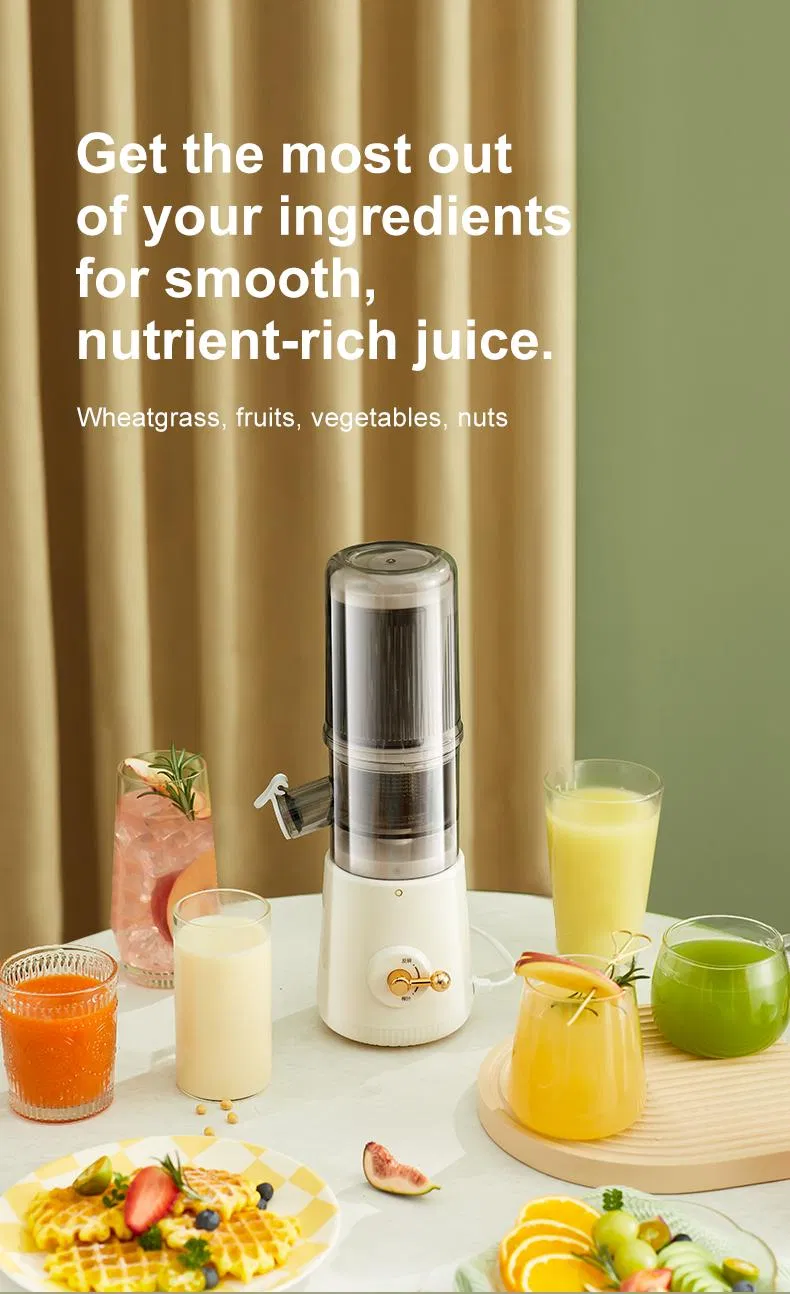 Slow Juicer View 11