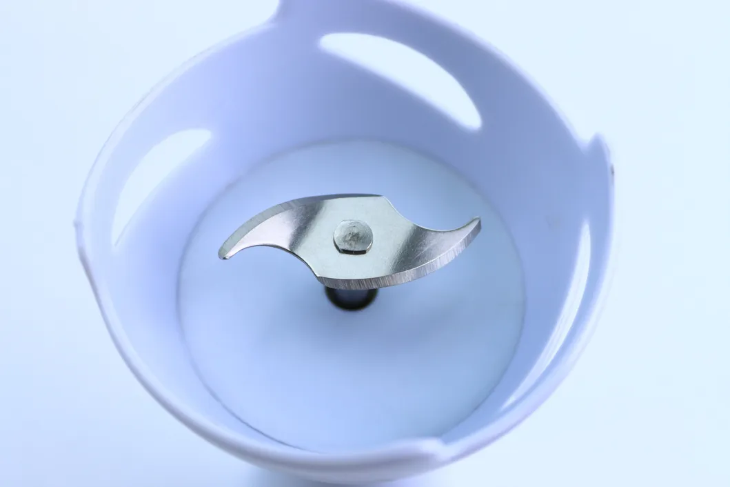 Immersion Stick Blender Show