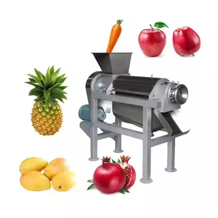 Commercial Industrial Stainless Steel Spiral Fruit Ginger Carrot Juicer, Fully Automatic Apple Juice Extractor