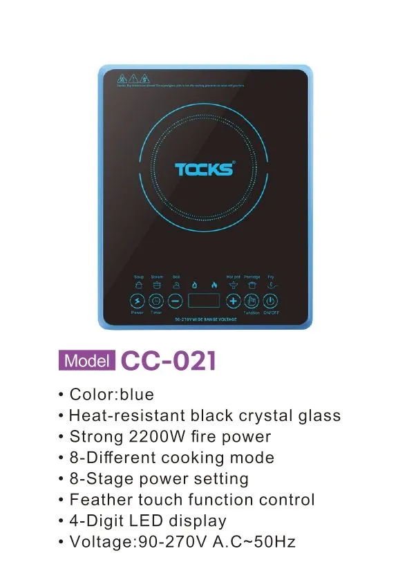 Premium Induction Stove