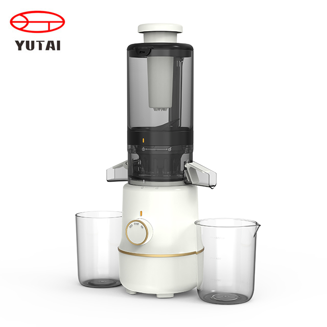 Professional Electric Automatic Slow Masticating Mango Orange Fruit Juicer Machine Juice Extractor