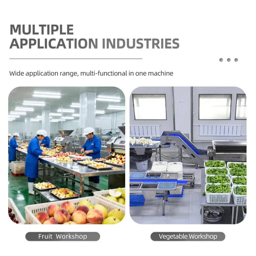 Industrial Automatic Fruit Vegetable Cold Press Juice Extractor Screw Crushing Juicer De Jugo Industrial Lemon Squeezer Machine for Pineapple Grape Blueberry