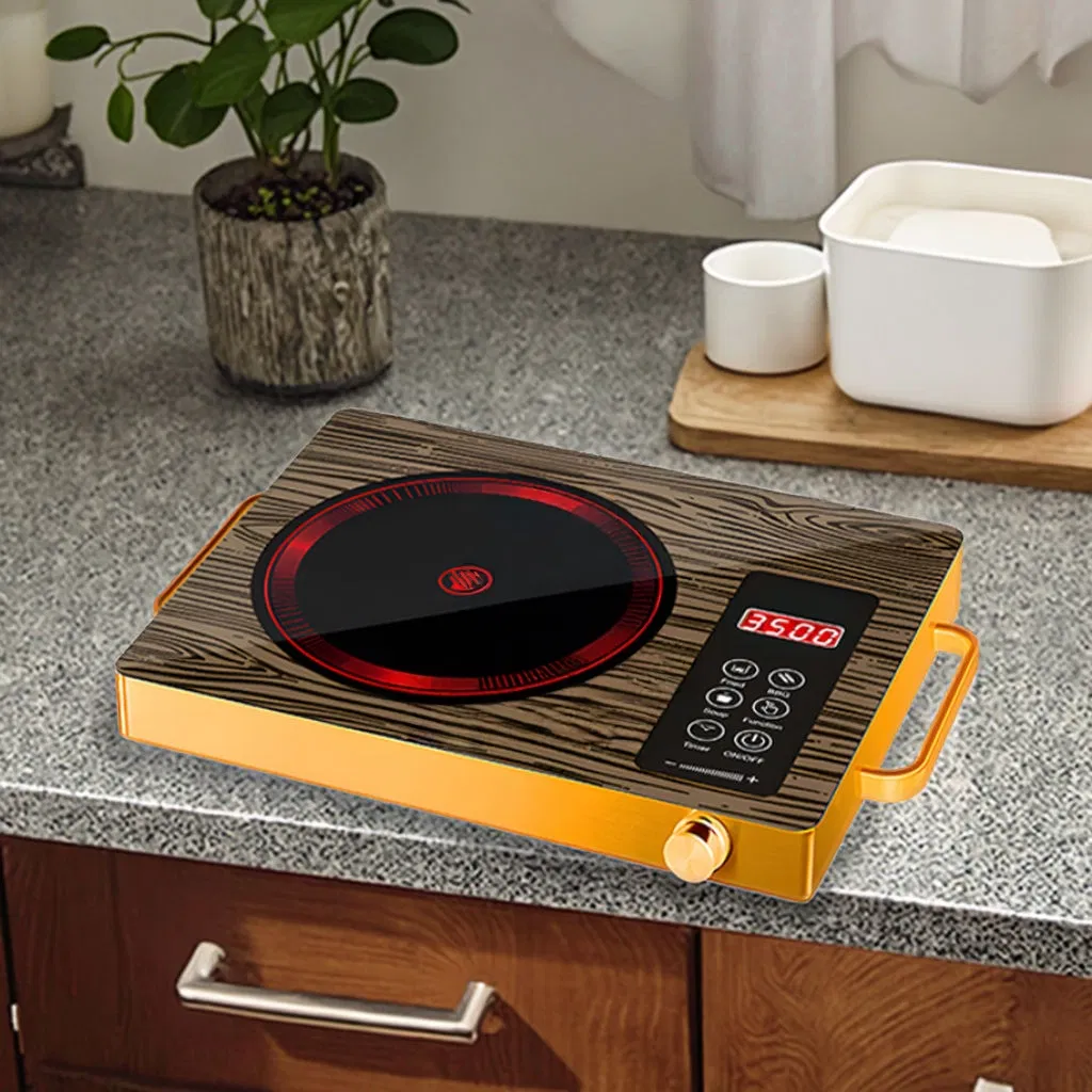 Induction Cooker Detail