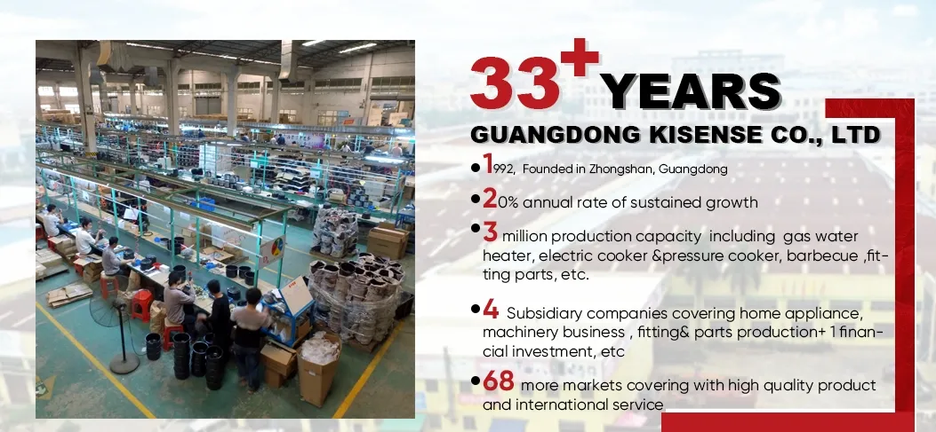 Electric Pressure Cooker Overview