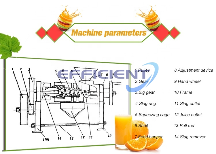 Commercial Fruit Orange Apple Juicer Ginger Mango Lemon Pineapple Juice Extractor