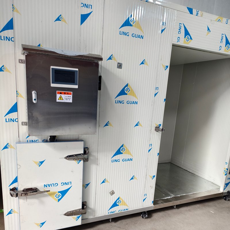 Meat Processing Machinery Industrial Fish Shrimp Seafood Heat Pump Drying Chamber Apricot Dryer Lychee Longan Seeds Persim Fruits Vegetables Dehydrator