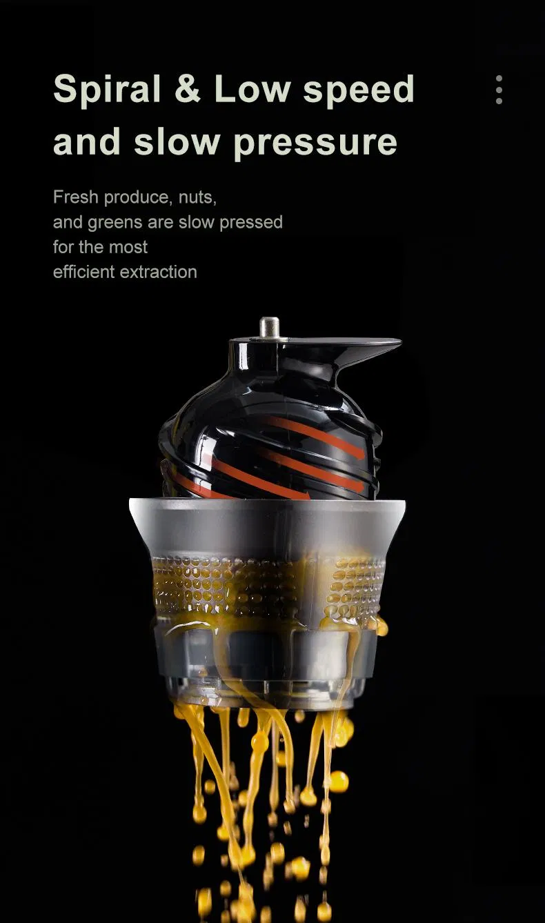 Slow Juicer View 10