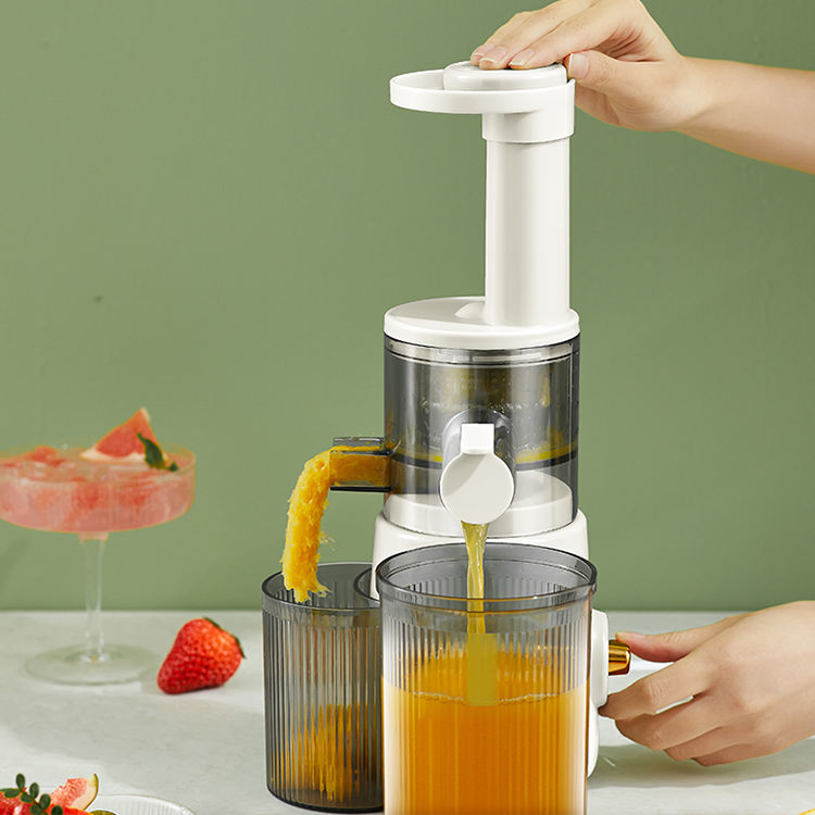 80 Watt High Quality Big Mouth Slow Juicer/ Juicer Extractor