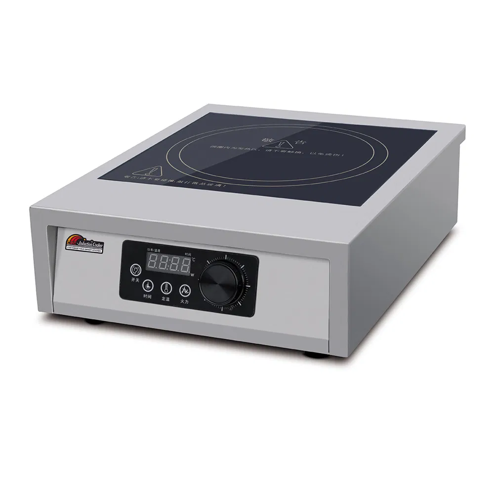Induction Cooker Detail