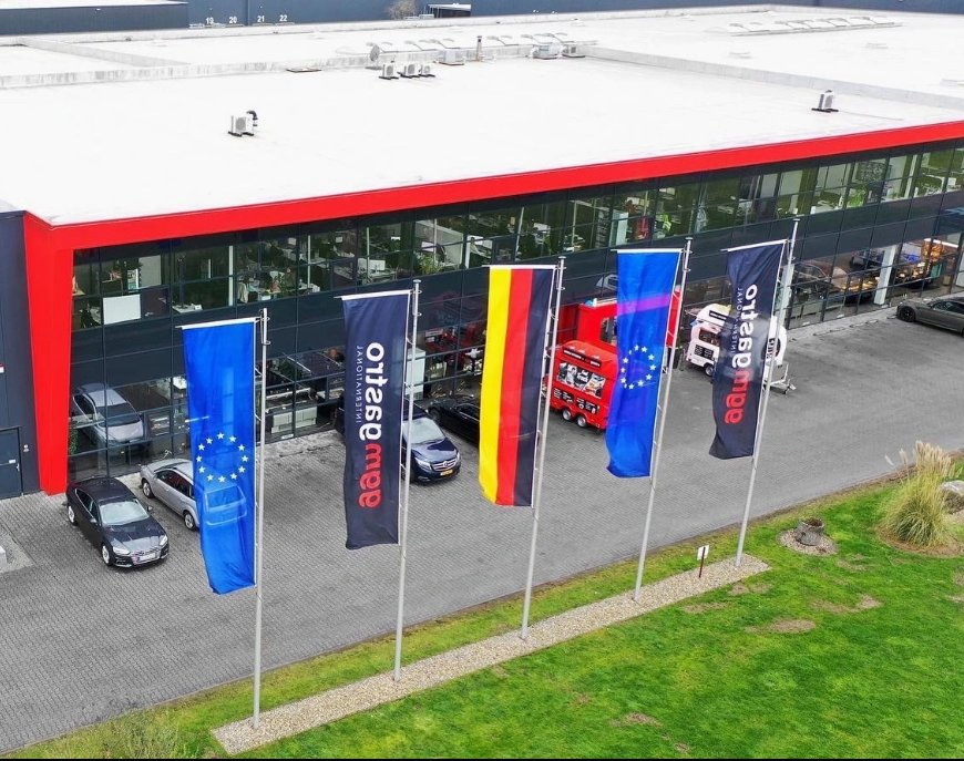 Manual Juice Extractor Manual Juicer Extractor Press Juice Juicer Extractor Lemon Orange Juice Extractor Hand Cold Press Fruit Juicer Lemon Extractor Fspsh-W