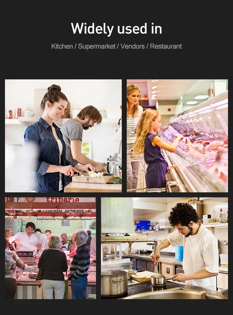 Meat Processor Detail 3