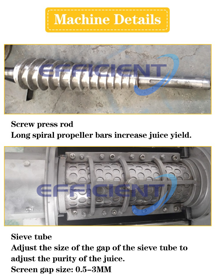 Commercial Fruit Orange Apple Juicer Ginger Mango Lemon Pineapple Juice Extractor
