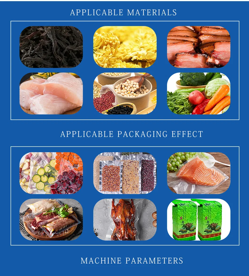 Vacuum Sealer Detail 2