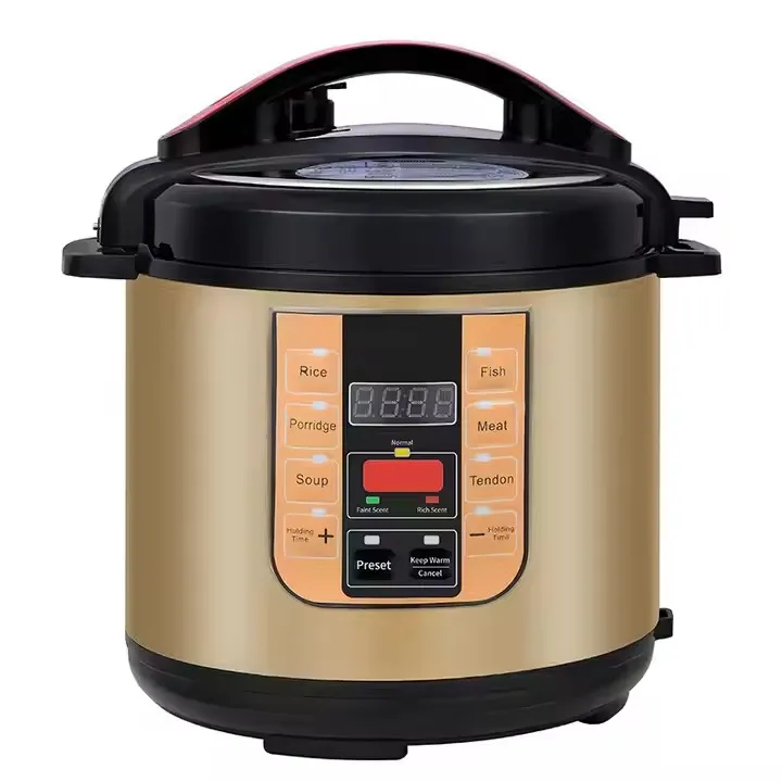 Electric Pressure Cooker
