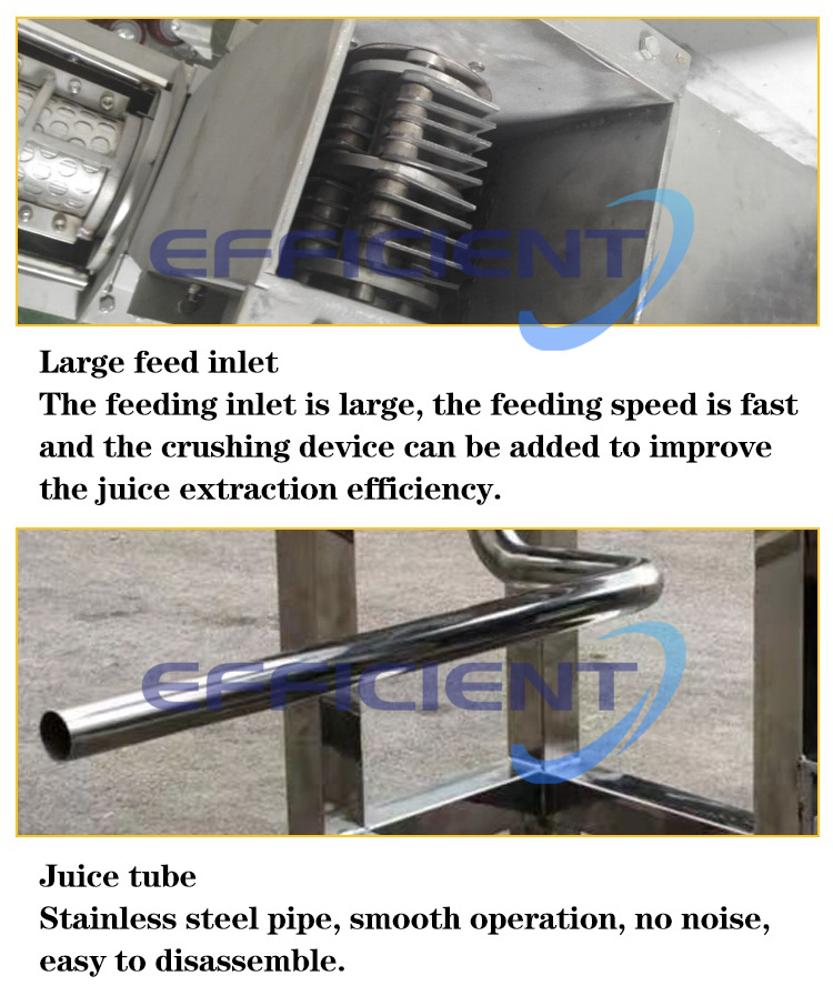 Commercial Fruit Orange Apple Juicer Ginger Mango Lemon Pineapple Juice Extractor