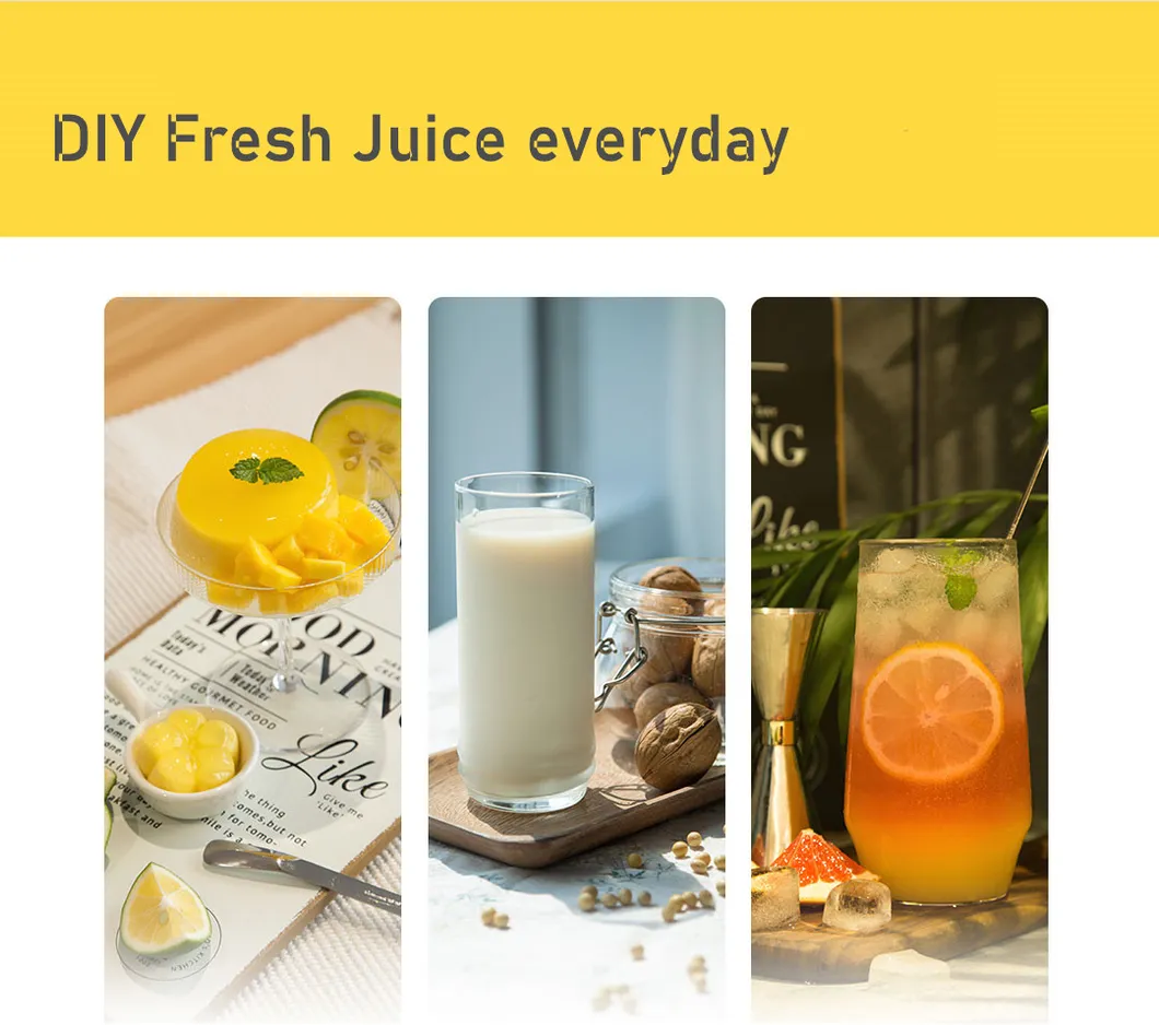 Masticating Slow Juicer View 3