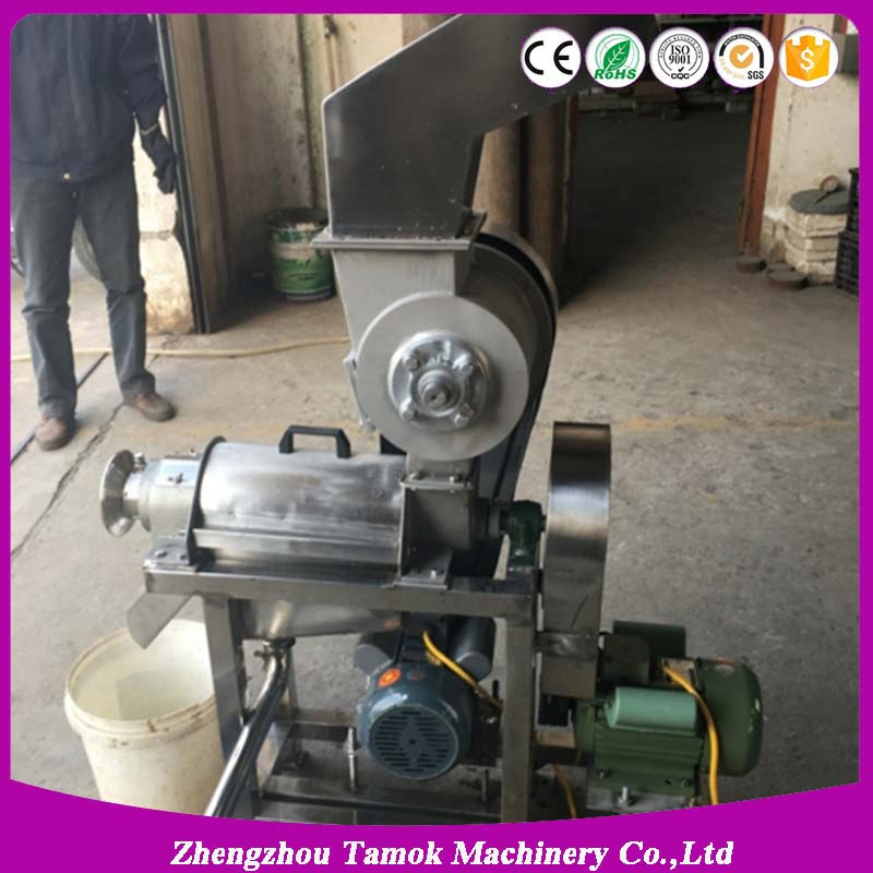 Small Space Occupy Lemon Ginger Strawberry Juicer Juice Extractor