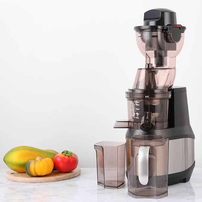 Masticating Slow Juicer View 2