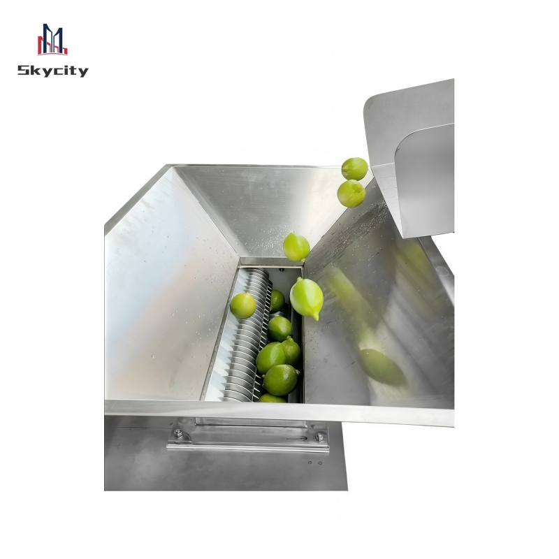 Tc-Dgj2.2 Industrial Commercial Electric Citrus Passion Fruit Vegetable Juice Extractor Juicer