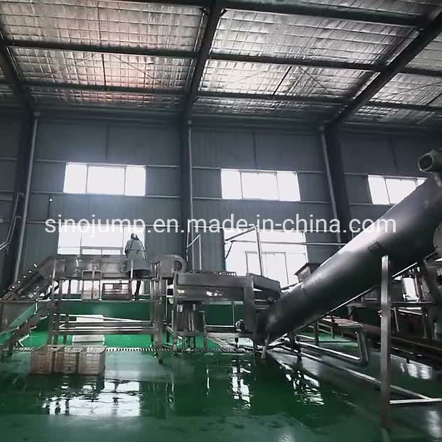 Multifunctional Fruit Juice Spiral Presser Commercial Machine Juicer Mango Orange Apple Pineapple Juice Extractor