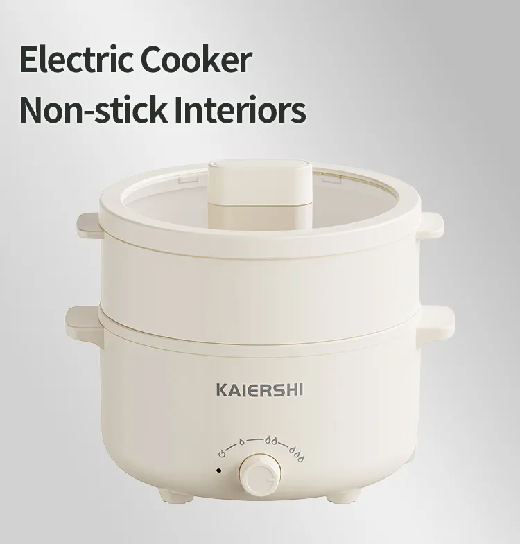 Electric Cooking Pot 1