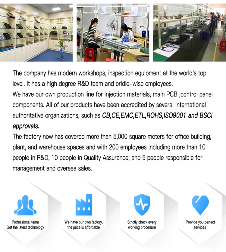 Induction Cooker Detail 3