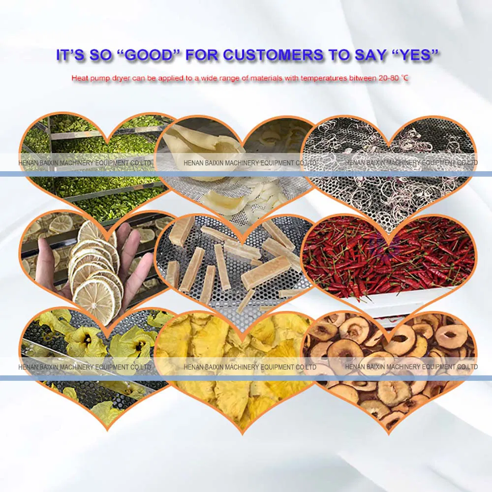 Magic Mill Commercial Food Dryer Biomass Drying System Chicken Chilli Dry Food Fusion Machine Food Dehydrator Equipment