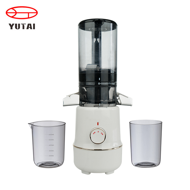 Professional Electric Automatic Slow Masticating Mango Orange Fruit Juicer Machine Juice Extractor