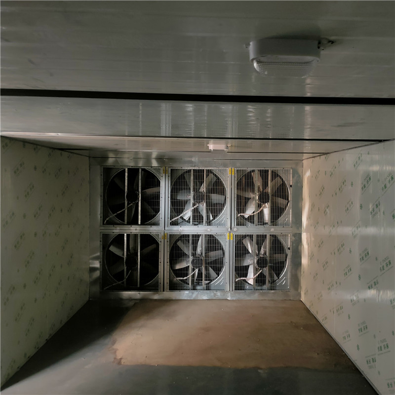 Food Industrial Fruit Dryer Digital Control Garlic Grape Drying Machine Seafood Potato Dehydration Hot Air Dryer Machinery Raisins Yam Vegetable Dehydrator