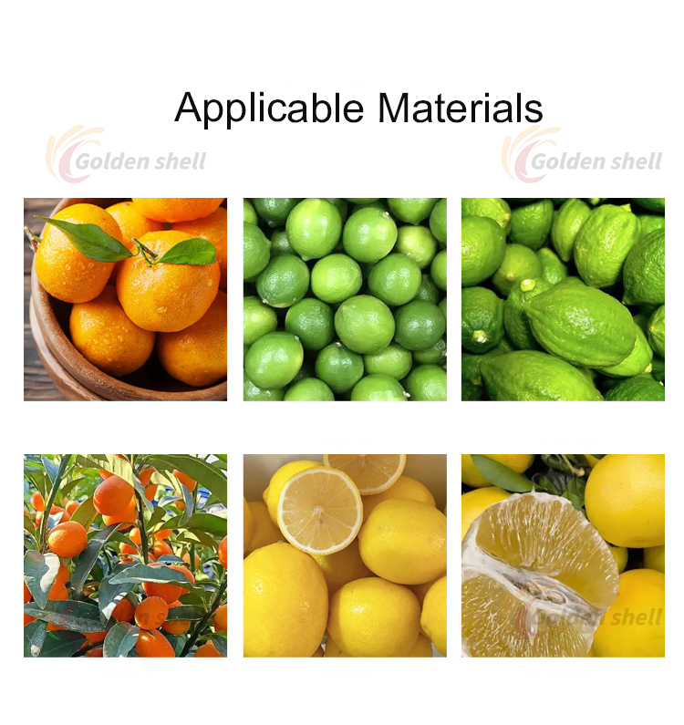 Automatic Large Capacity Electric Orange Juicer /Passion Fruit Pulp Extractor