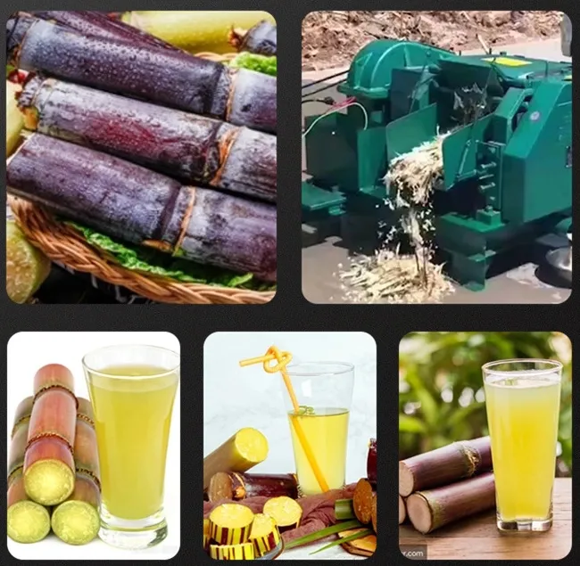 Industrial Sugarcane Juicer