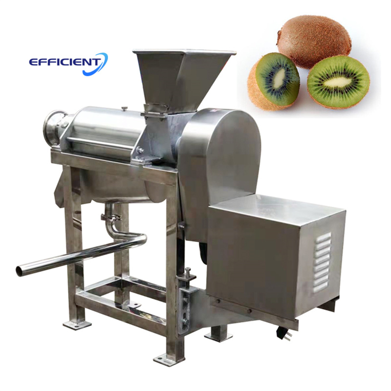 Commercial Fruit Orange Apple Juicer Ginger Mango Lemon Pineapple Juice Extractor