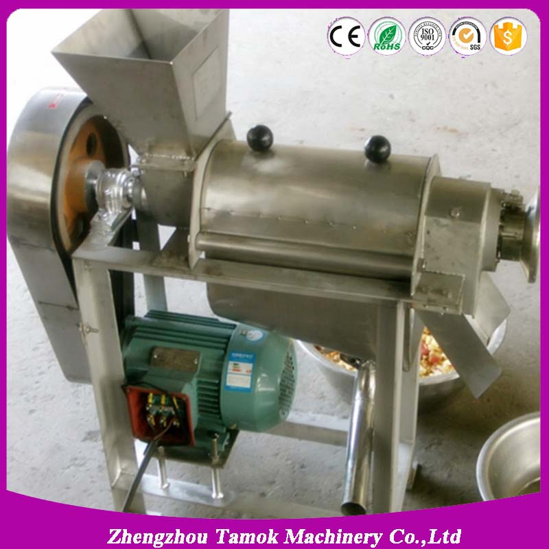 Small Space Occupy Lemon Ginger Strawberry Juicer Juice Extractor