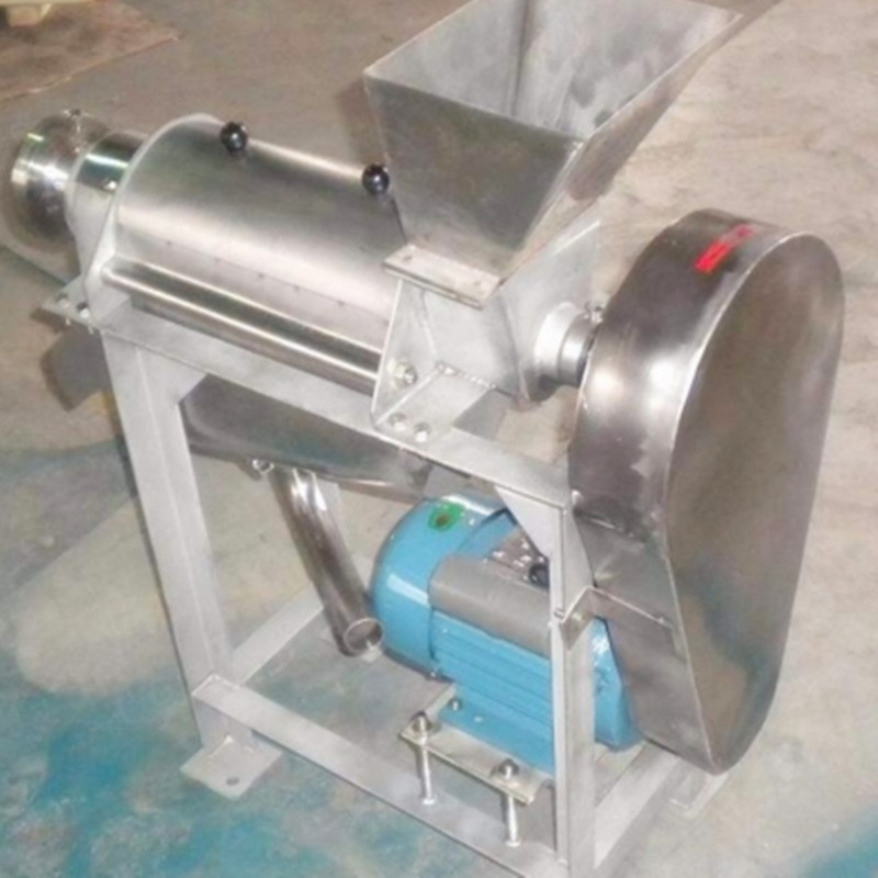 Small Space Occupy Lemon Ginger Strawberry Juicer Juice Extractor