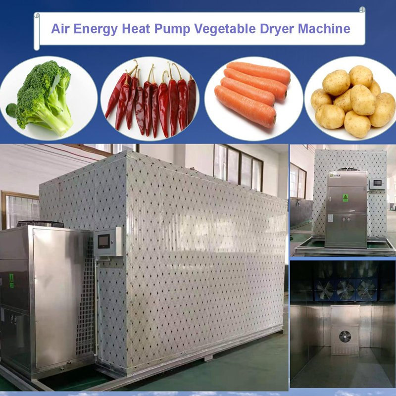 Food Industrial Fruit Dryer Digital Control Garlic Grape Drying Machine Seafood Potato Dehydration Hot Air Dryer Machinery Raisins Yam Vegetable Dehydrator