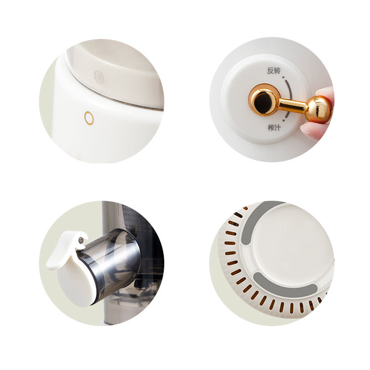 80 Watt High Quality Big Mouth Slow Juicer/ Juicer Extractor