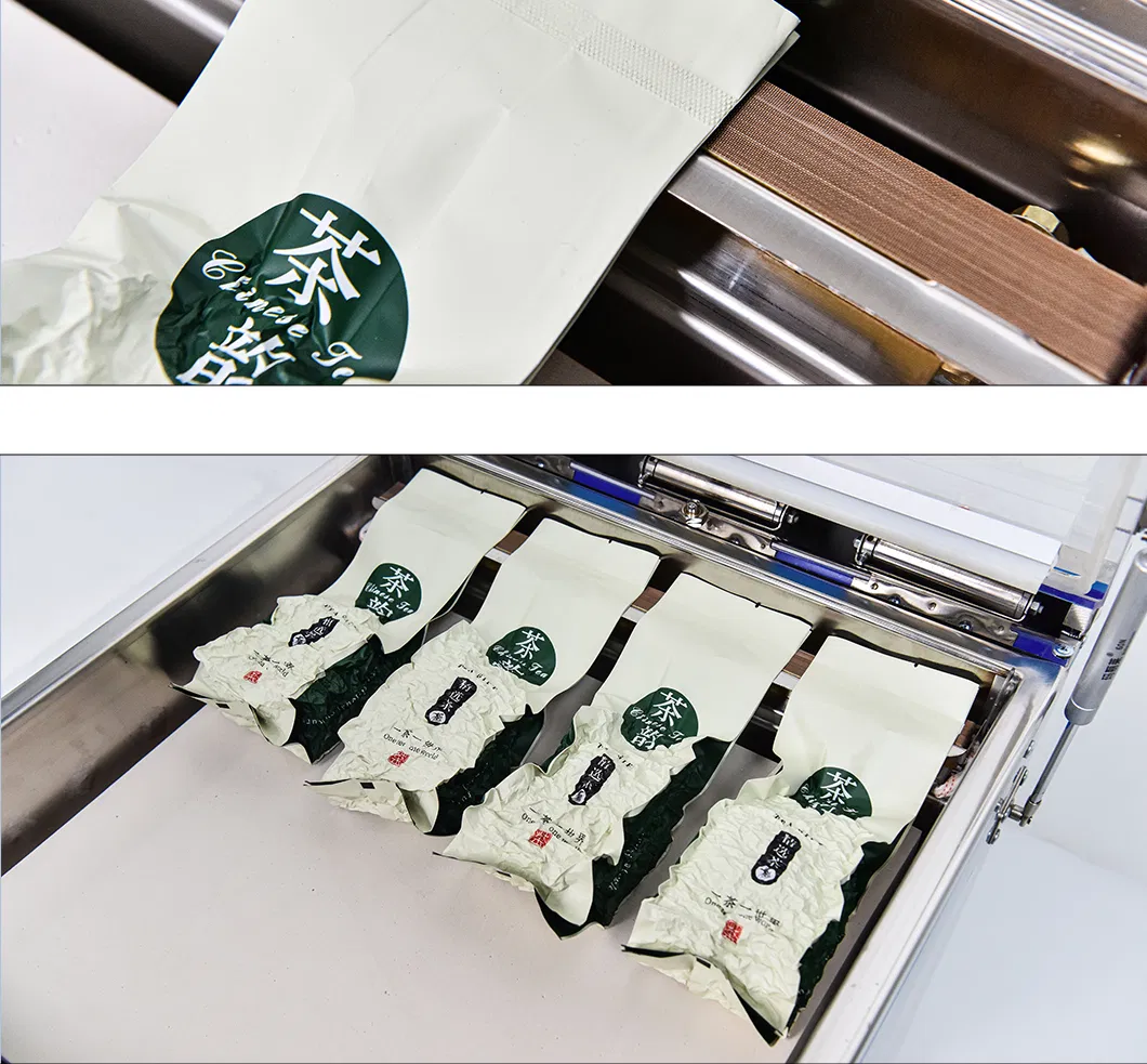 Vacuum Sealer Detail 5