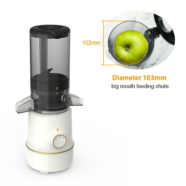 Professional Electric Automatic Slow Masticating Mango Orange Fruit Juicer Machine Juice Extractor