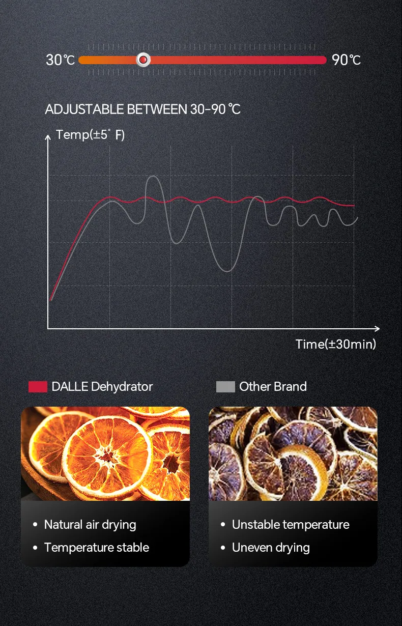 Industrial Dehydrator 5