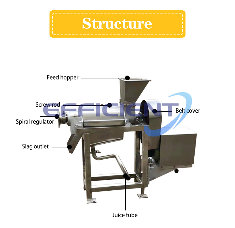 Commercial Fruit Orange Apple Juicer Ginger Mango Lemon Pineapple Juice Extractor