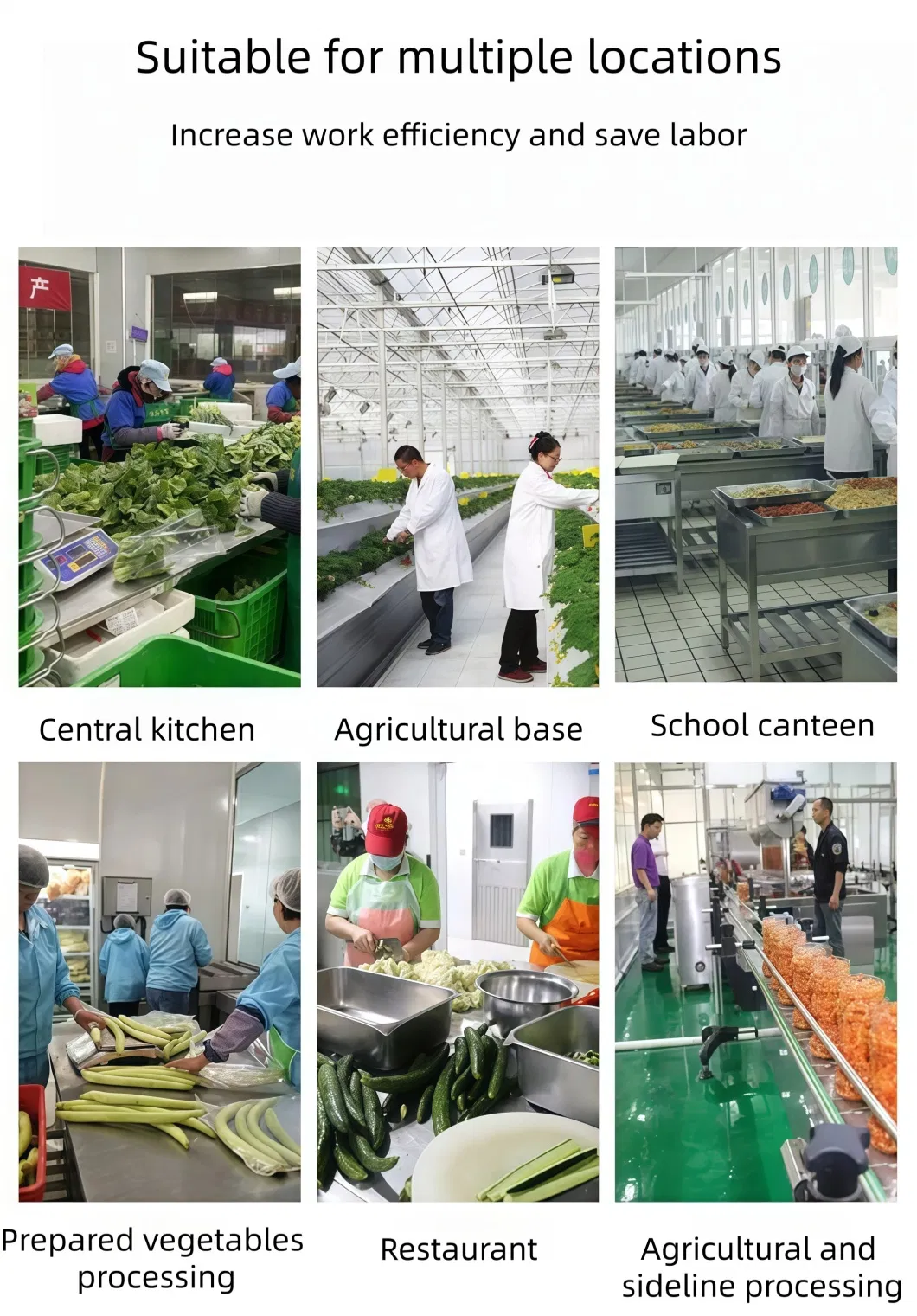 Juice Extractor Structure